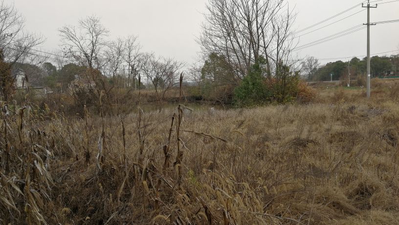 敬真实的追梦者:一个开100万奔驰的人，他银行贷款1000万，他的生活在生与死的边缘。 一个开30万皇冠的人，他房贷300万，他的生活水深火热。 一个骑1500块电动车的，他存款10万，生活安逸却又迷茫。 三人路上相遇，骑电动车的羡慕开皇冠的，开皇冠的羡慕开奔驰的，开奔驰的羡慕骑电动车的。 很多时候我们给自己太大的压力，导致生活变得不那么顺心，自己也并不快乐。 工作和生活的确需要向前看，要有目标，但是如果是建立在损失自己开心快乐的前提下，那么我们的努力又是为了什么呢？目标又有何意义？ 很多的不快乐源自于我们的攀比，你想努力提高自己，但是你会发现比你优秀的人还有很多，这是没有尽头的。我们努力工作不是为了成为目标的奴隶，而是要学会驾驭目标，让目标为自己制造快乐，制造幸福。