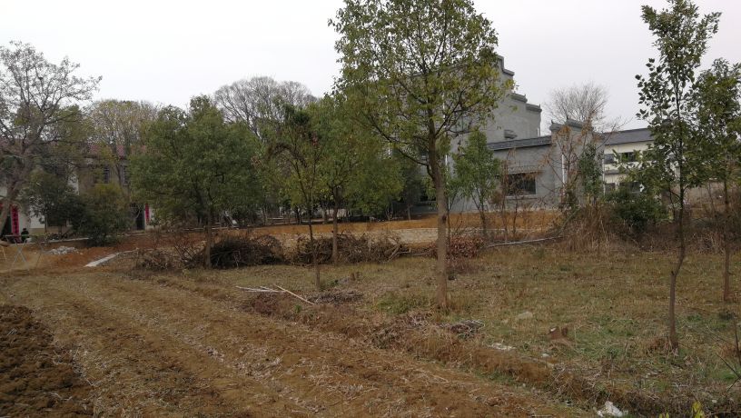 敬真实的追梦者:一个开100万奔驰的人，他银行贷款1000万，他的生活在生与死的边缘。 一个开30万皇冠的人，他房贷300万，他的生活水深火热。 一个骑1500块电动车的，他存款10万，生活安逸却又迷茫。 三人路上相遇，骑电动车的羡慕开皇冠的，开皇冠的羡慕开奔驰的，开奔驰的羡慕骑电动车的。 很多时候我们给自己太大的压力，导致生活变得不那么顺心，自己也并不快乐。 工作和生活的确需要向前看，要有目标，但是如果是建立在损失自己开心快乐的前提下，那么我们的努力又是为了什么呢？目标又有何意义？ 很多的不快乐源自于我们的攀比，你想努力提高自己，但是你会发现比你优秀的人还有很多，这是没有尽头的。我们努力工作不是为了成为目标的奴隶，而是要学会驾驭目标，让目标为自己制造快乐，制造幸福。